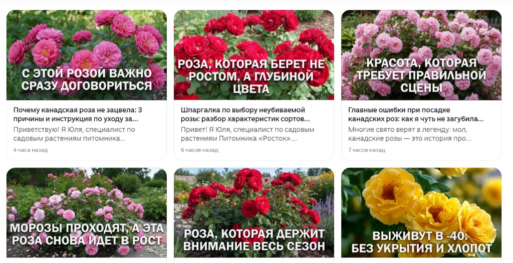 Контент-конвейер для Яндекс.Дзена: от ключевого слова до публикации за 3 минуты — скриншот 1