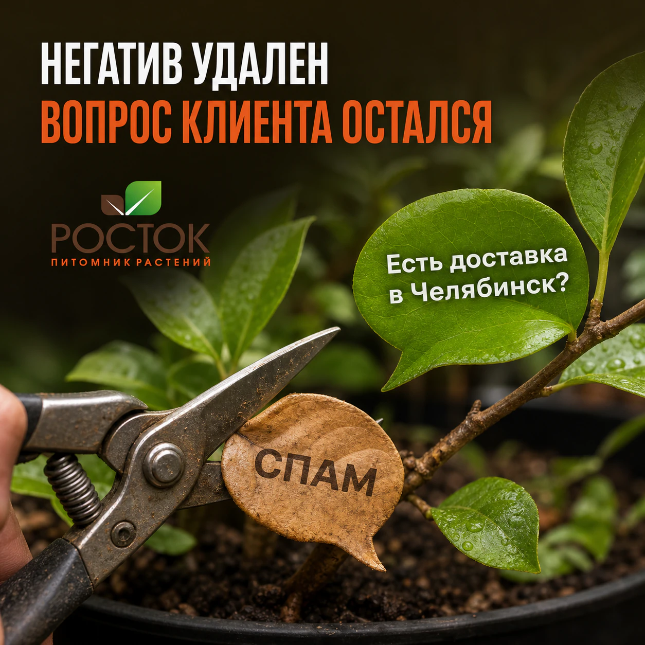 Система удаляет негативный комментарий и сохраняет вопрос клиента о доставке